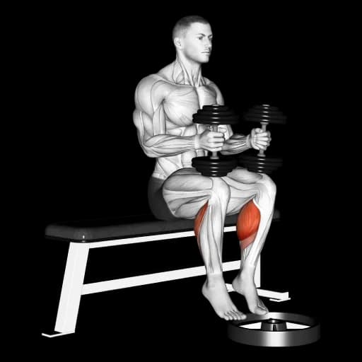 Dumbbell Seated Calf Raise