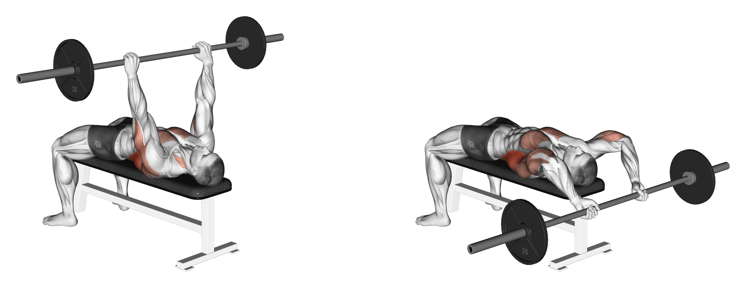 Barbell Pullover