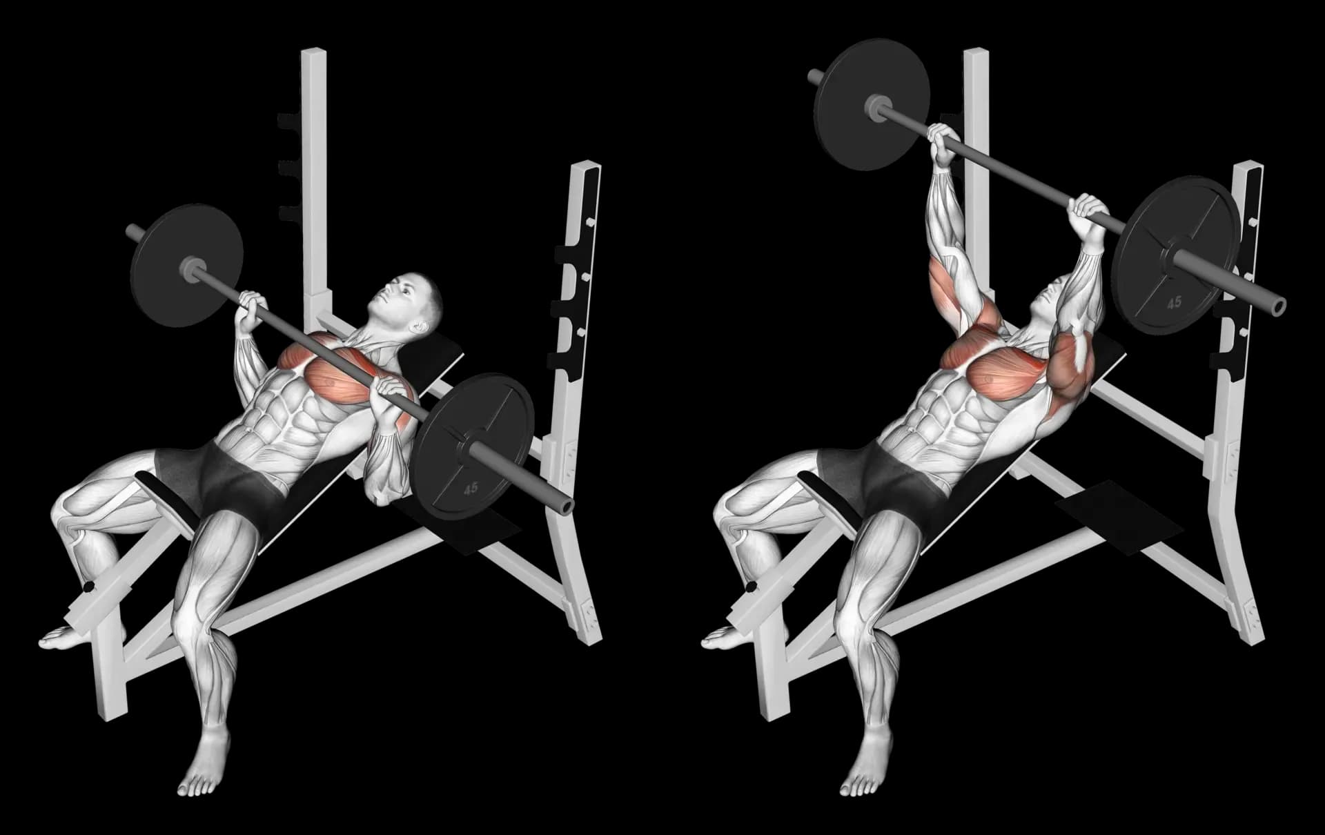 Barbell Incline Bench Press