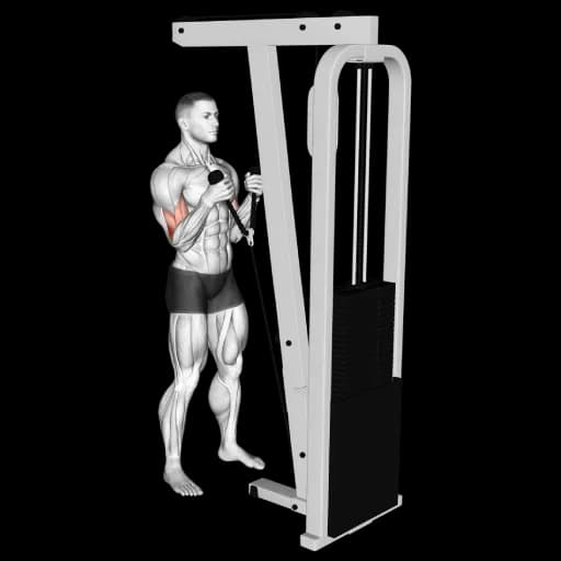 Cable Rope Hammer Curl
