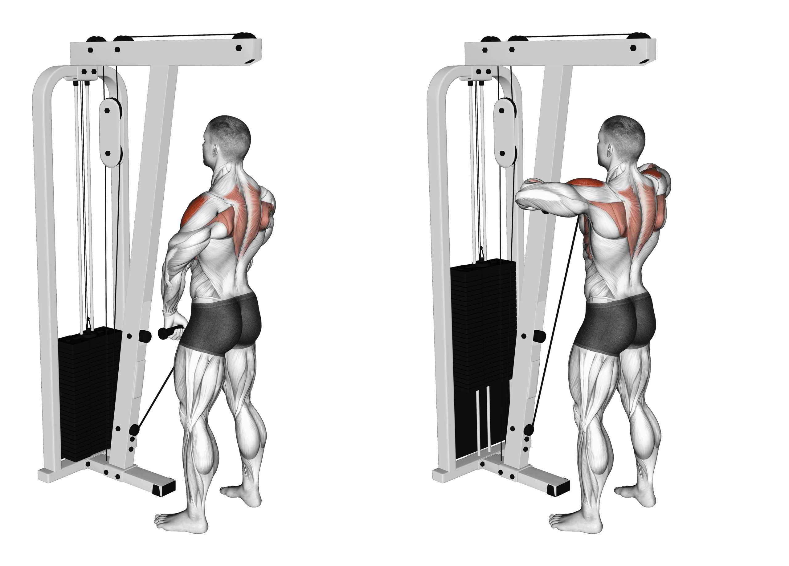 Cable Upright Row