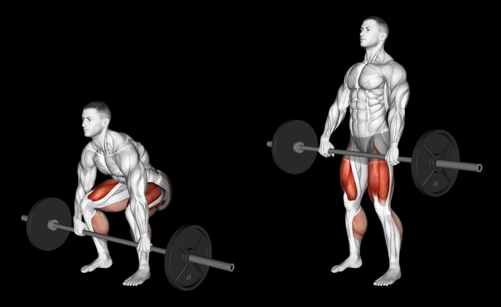 Barbell Deadlift