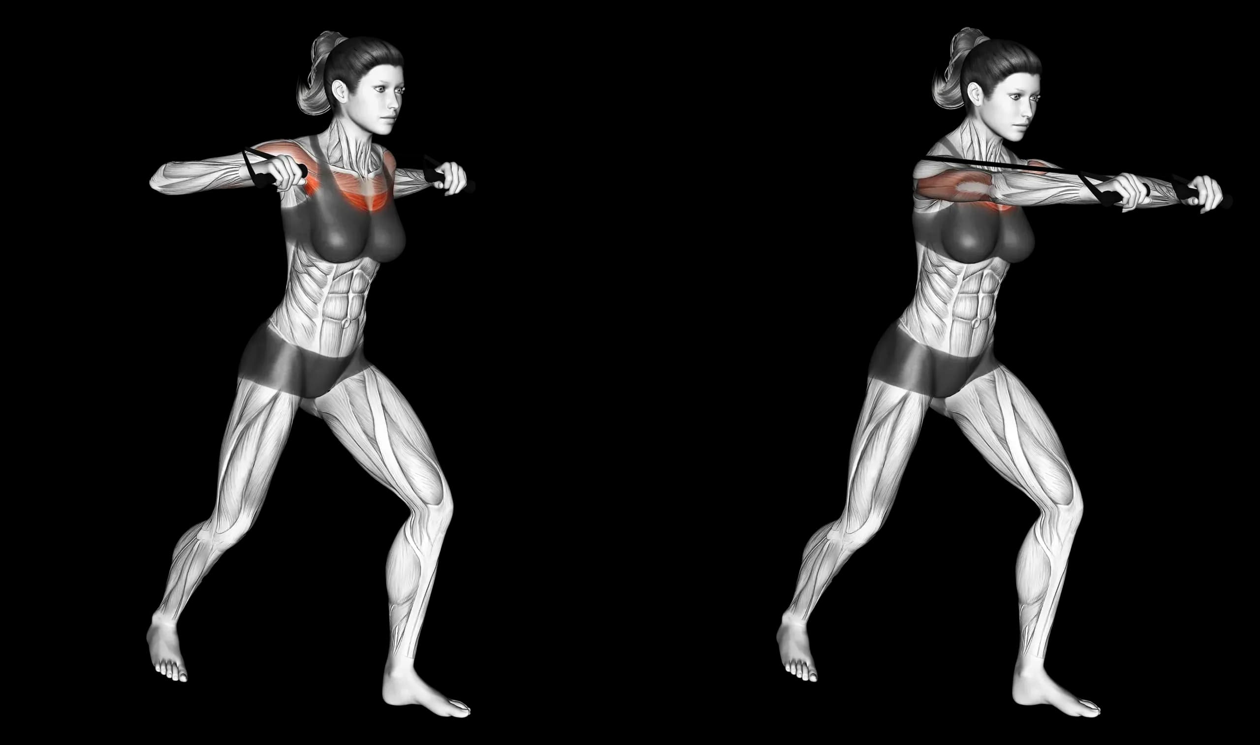 Band Standing Chest Press