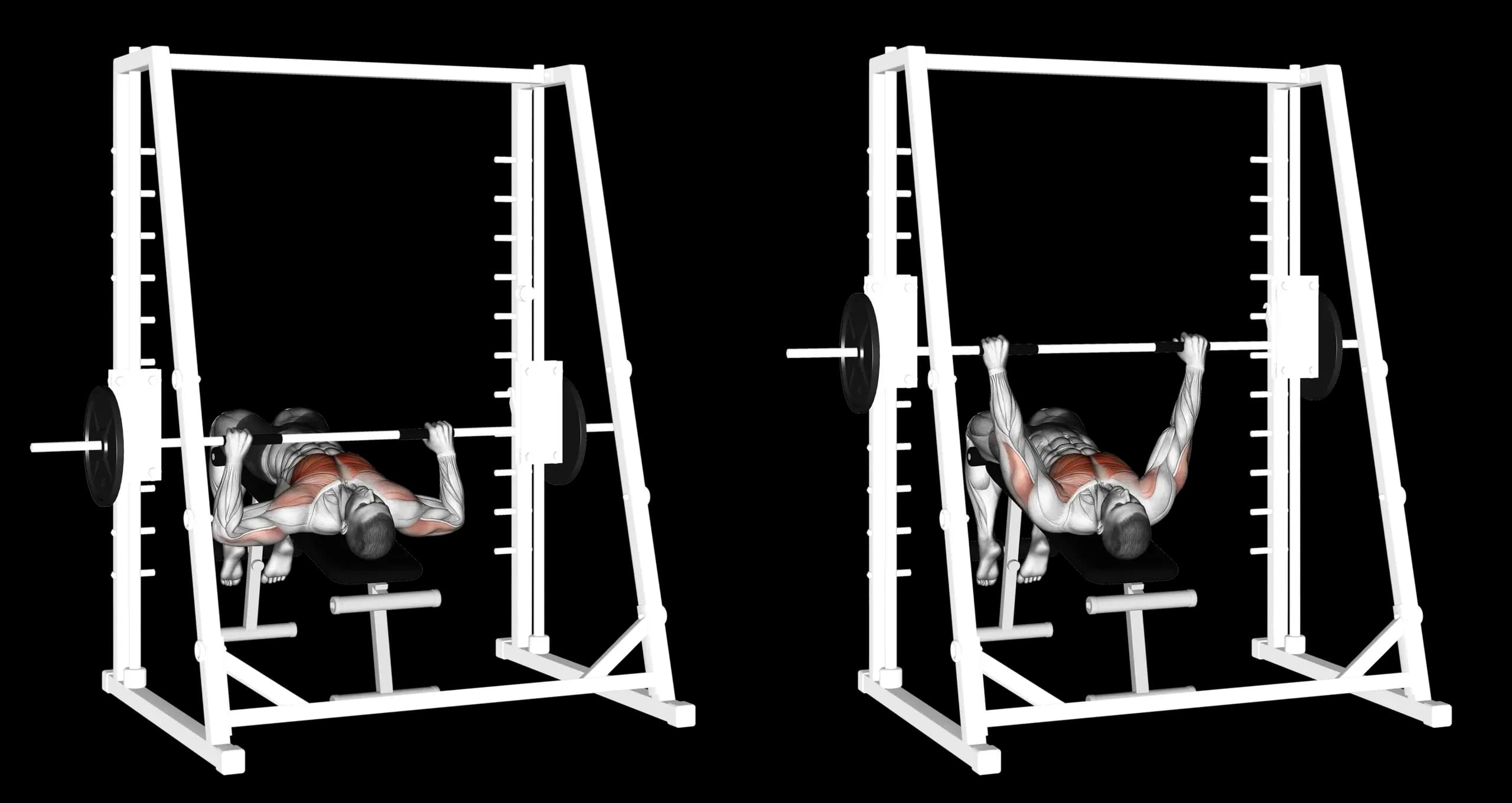 Smith Machine Decline Bench Press