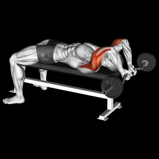 EZ Bar Lying Triceps Extension