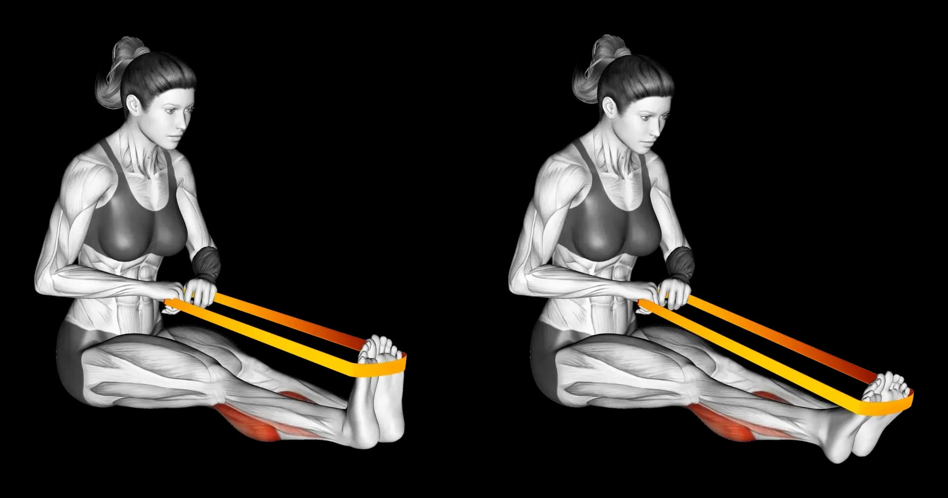 Band Seated Calf Raise