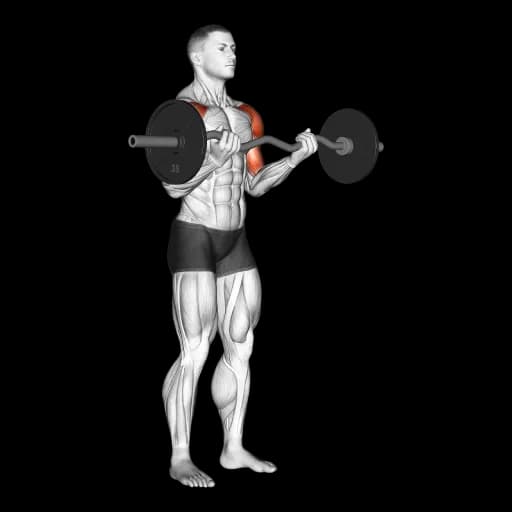 EZ Bar Drag Curl
