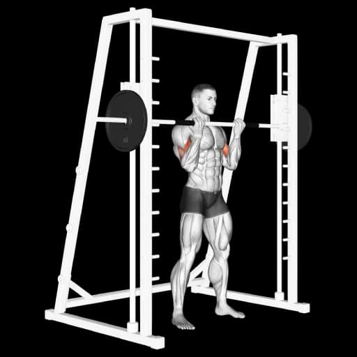 Smith Machine Curl