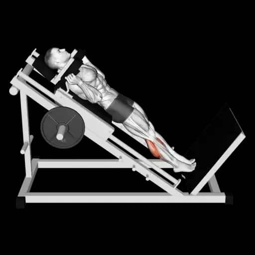 Hack Calf Raise