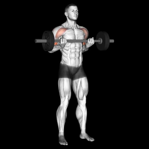 Barbell Drag Curl