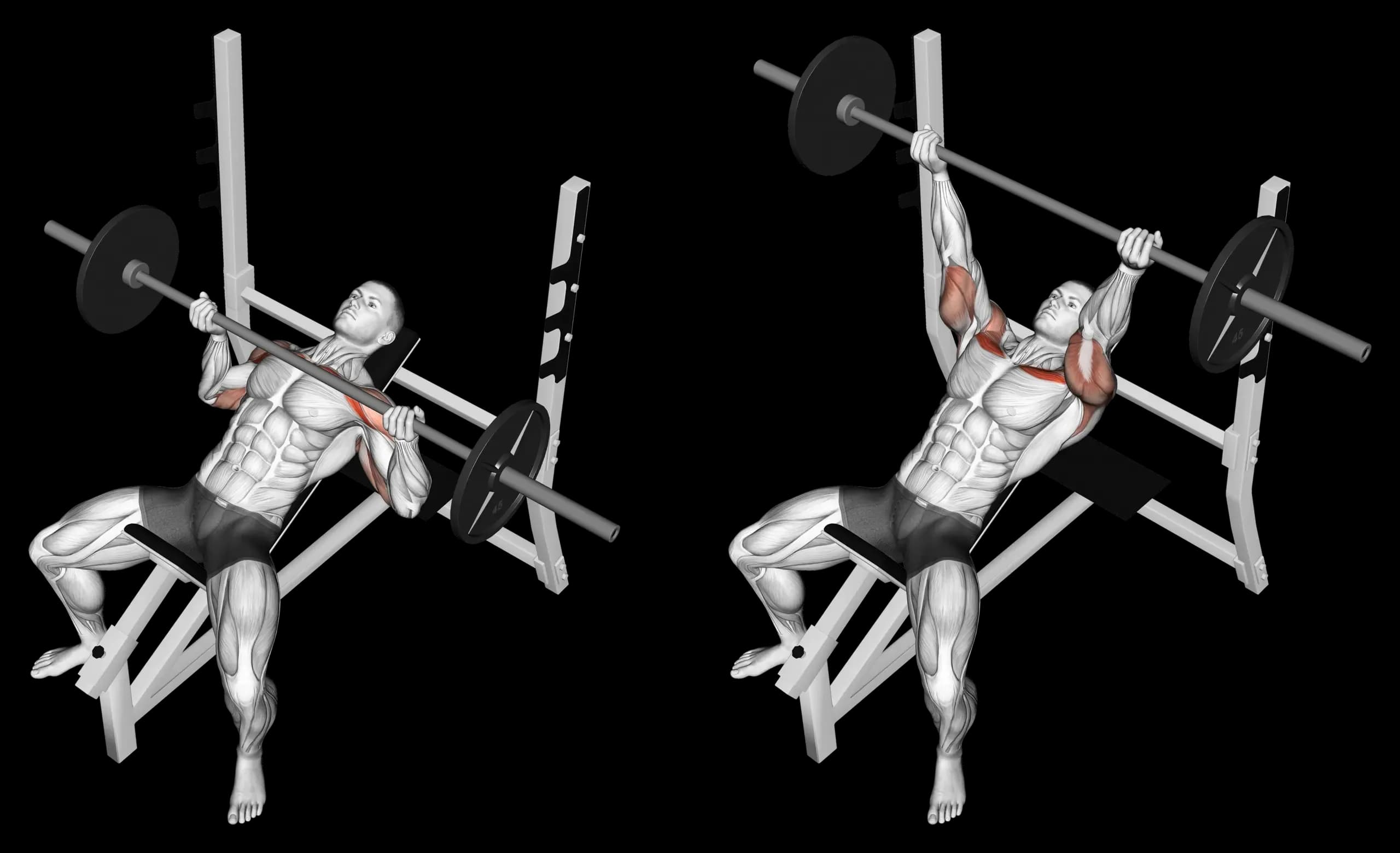 Barbell Incline Bench Press (Reverse Grip)