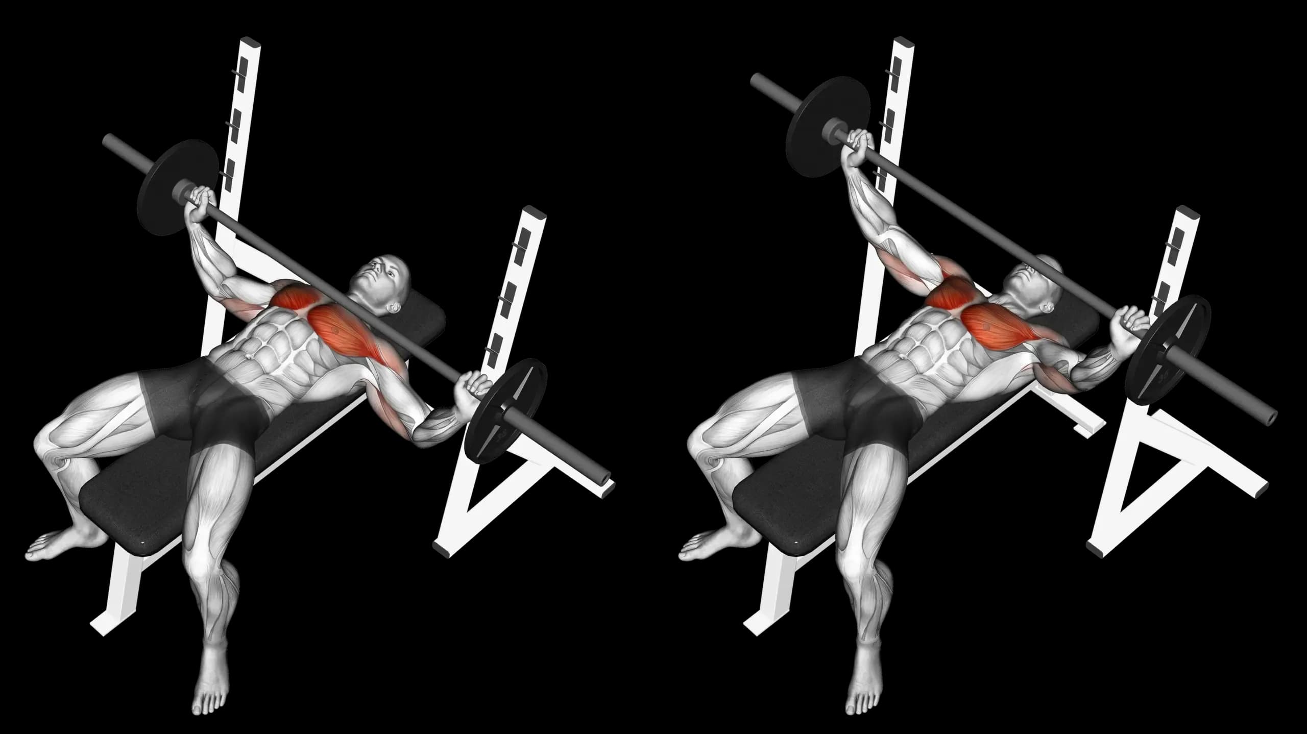 Barbell Bench Press (Wide Grip)