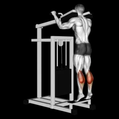 Machine Standing Calf Raise