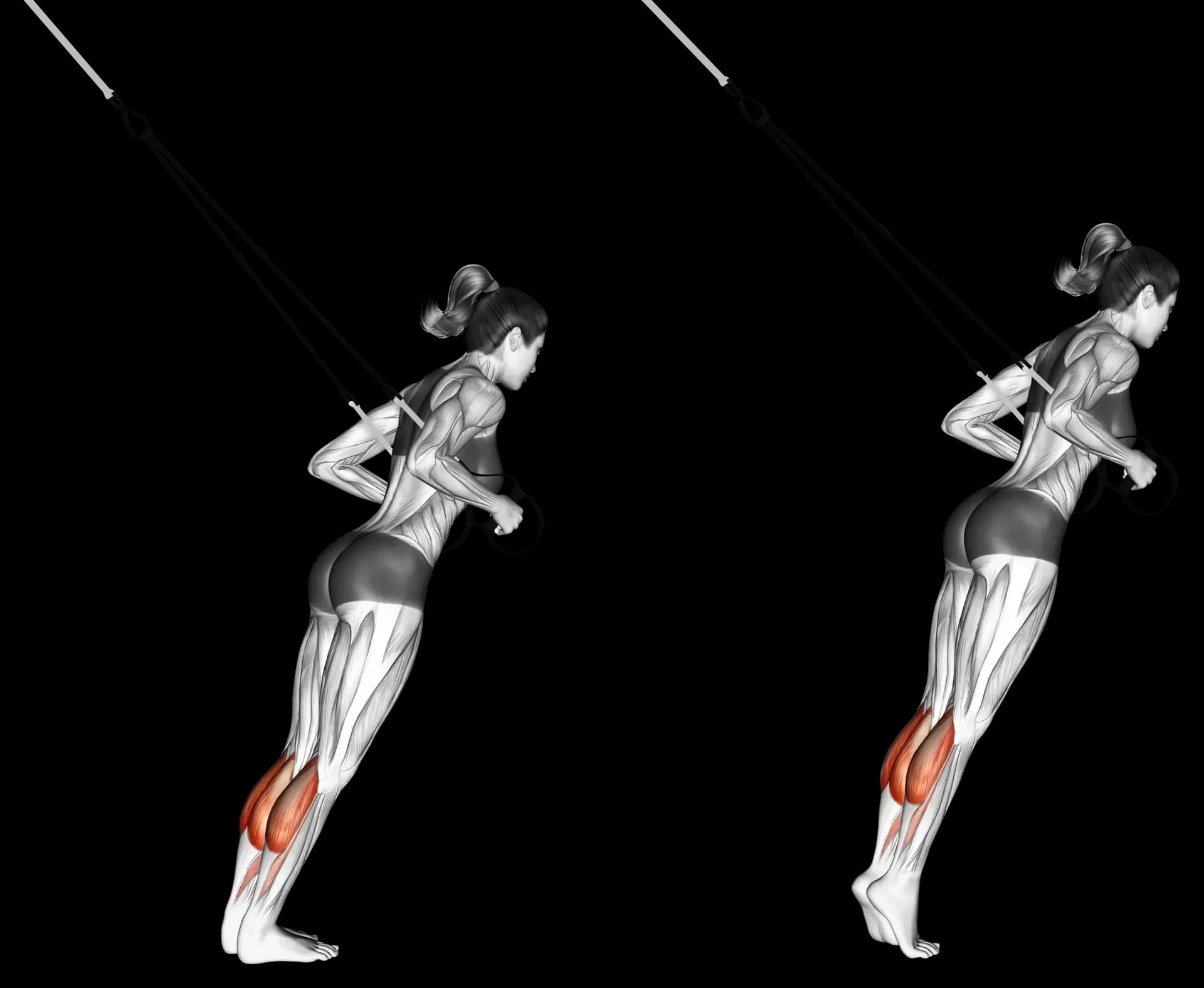 TRX Calf Raise