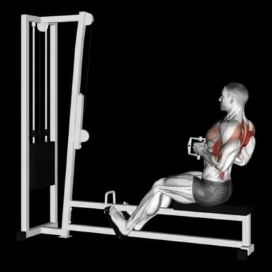 Cable Seated Row