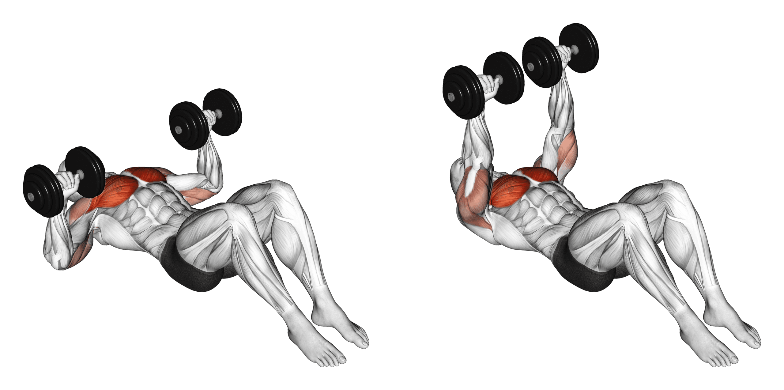 Dumbbell Floor Press