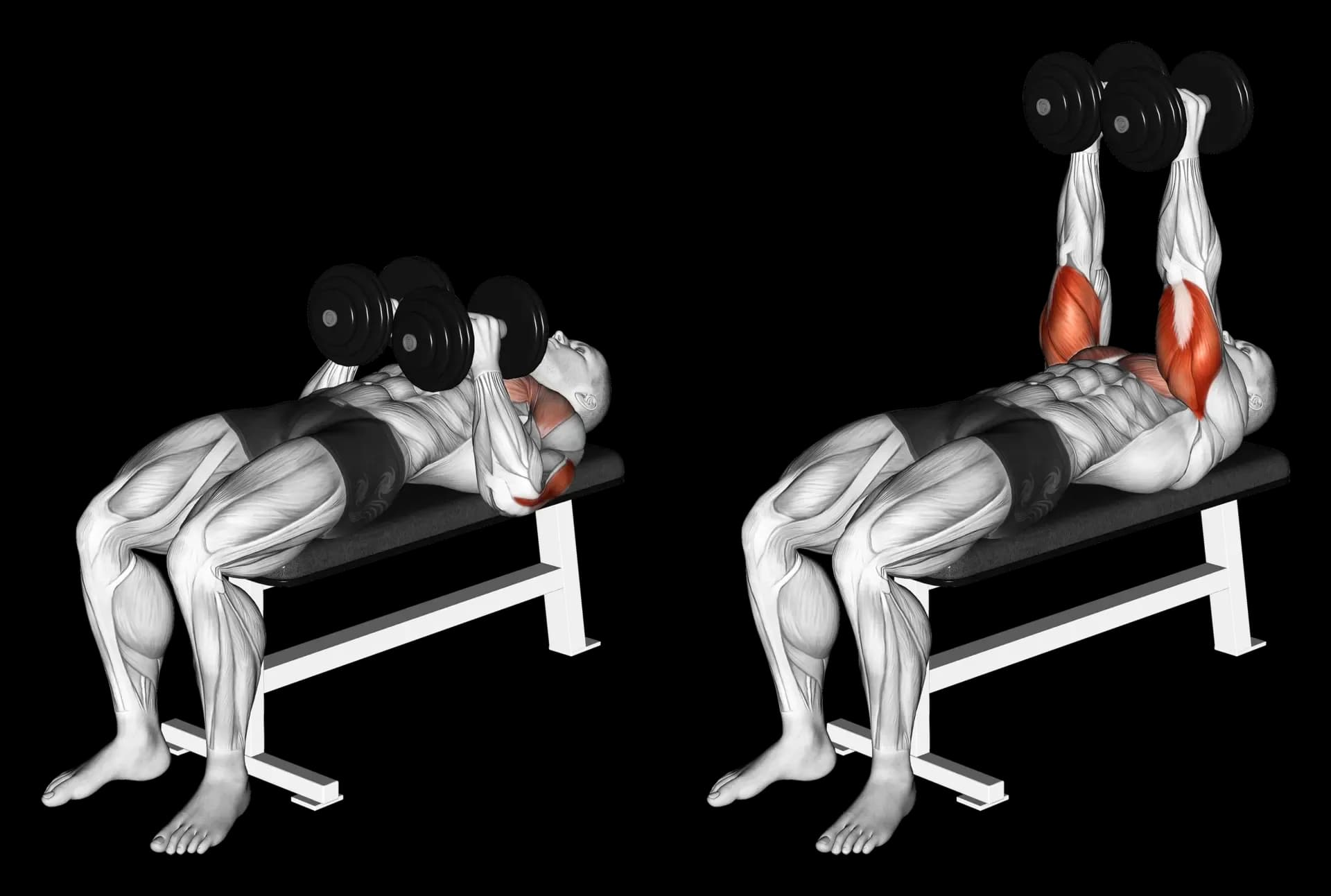 Dumbbell Press (Close Grip)