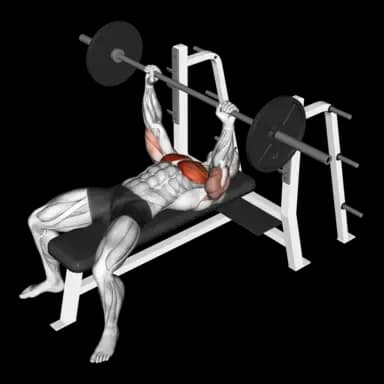 Barbell Bench Press