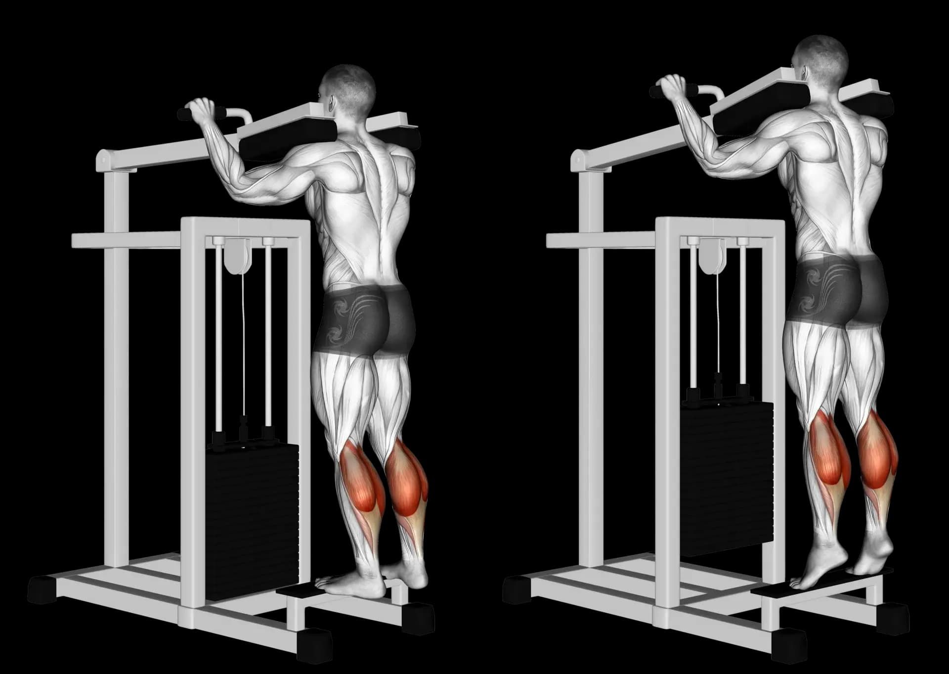 Machine Standing Calf Raise