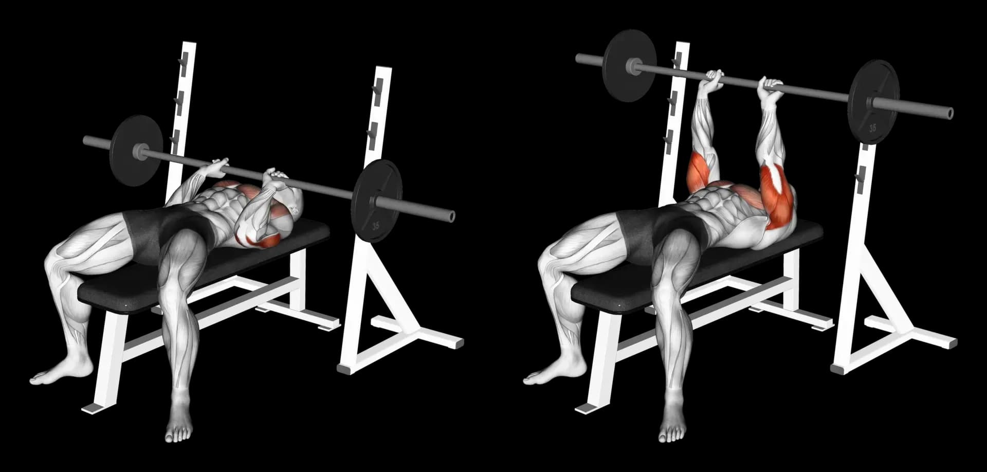 Barbell Bench Press (Close Grip)