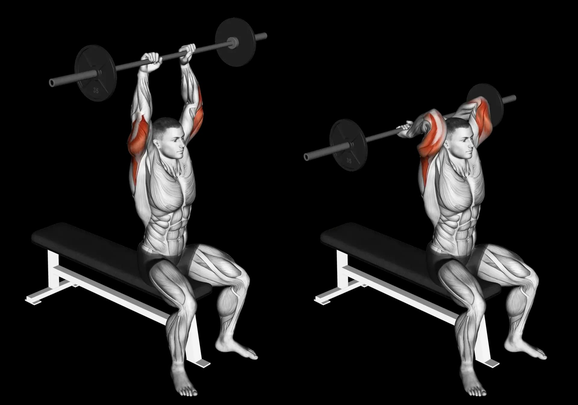 Barbell Seated Triceps Overhead Extension