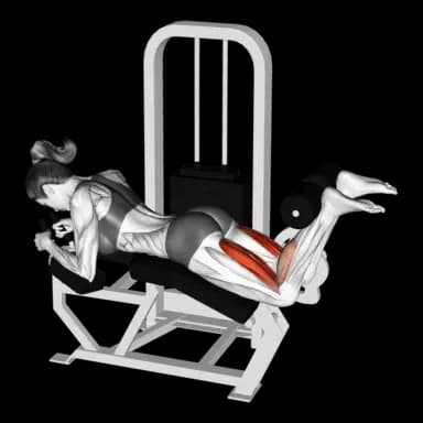 Machine Lying Leg Curl
