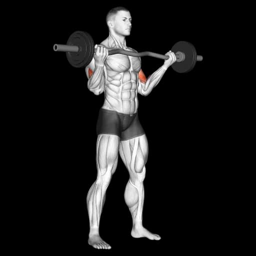 EZ Bar Curl (Wide Grip)