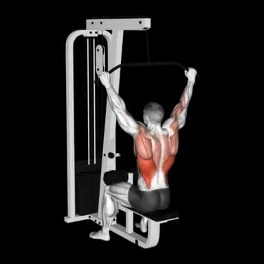 Cable Lat Pulldown (Wide Grip)