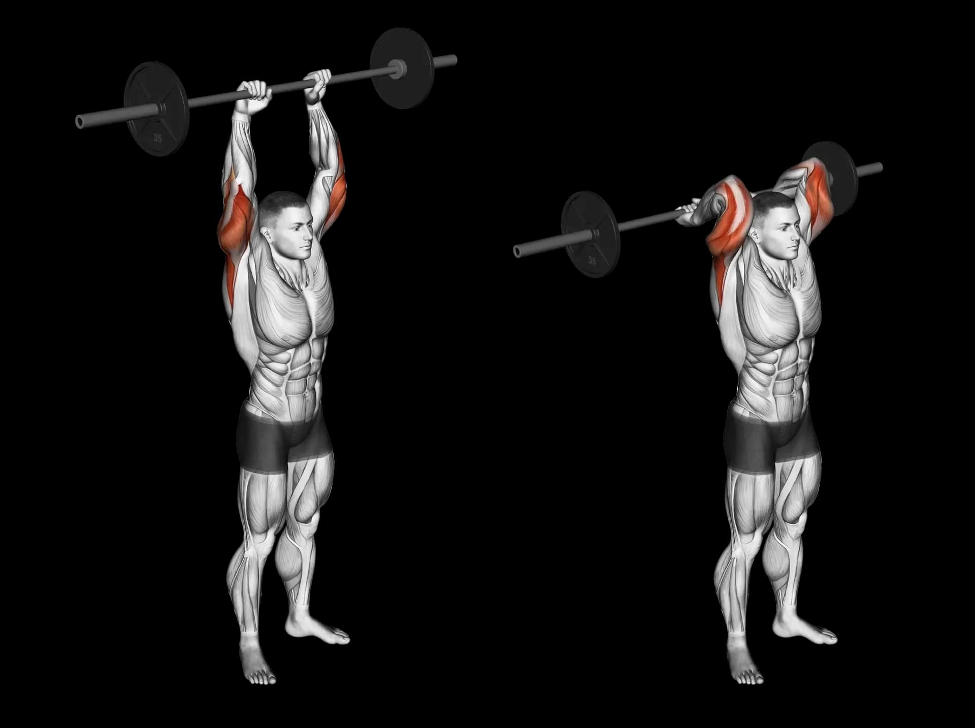Barbell Triceps Overhead Extension