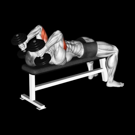 Dumbbell Lying Triceps Extension