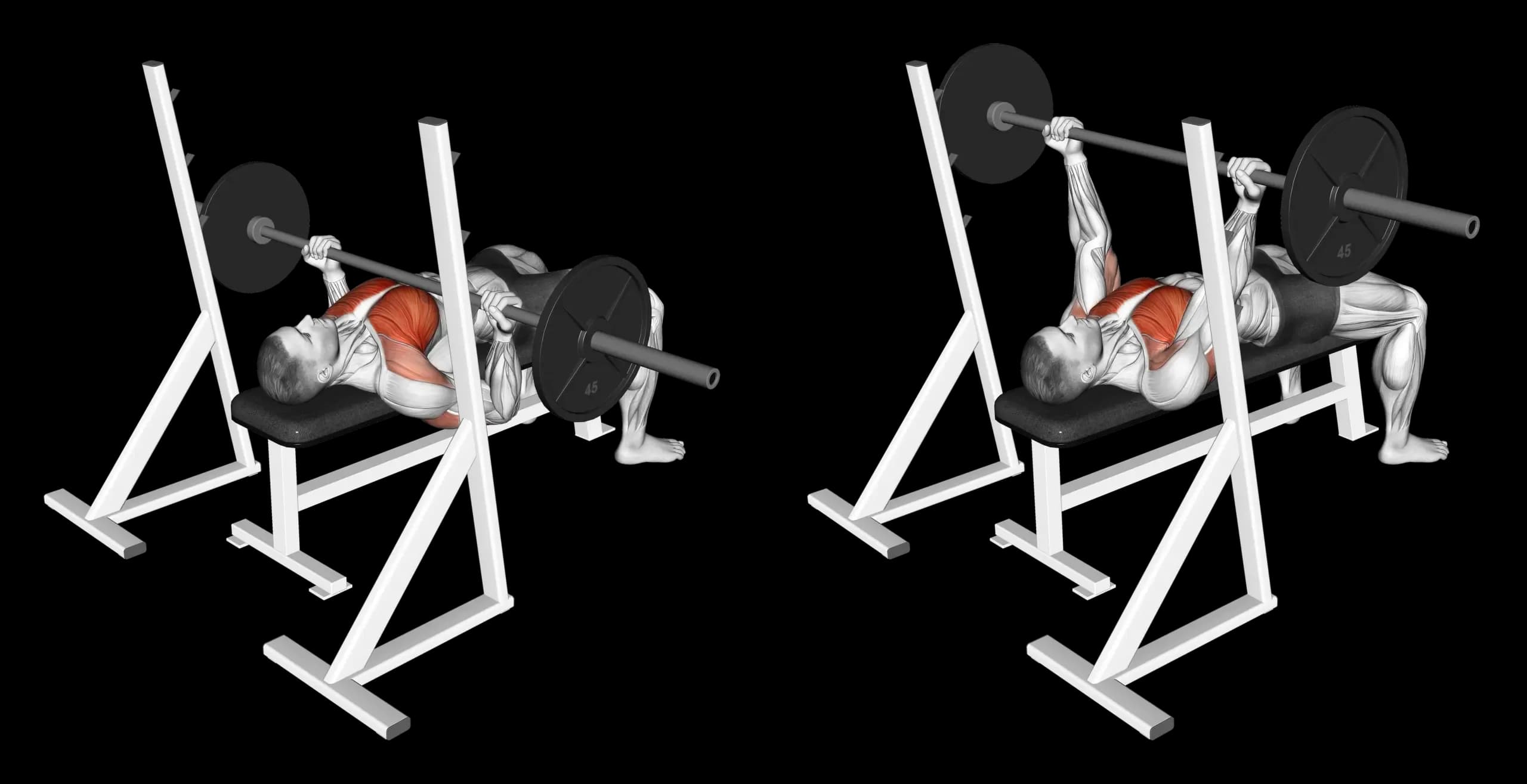Barbell Bench Press (Reverse Grip)