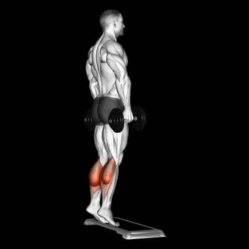 Dumbbell Standing Calf Raise