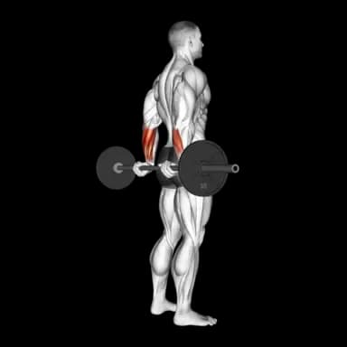 Behind the Back Barbell Wrist Curls