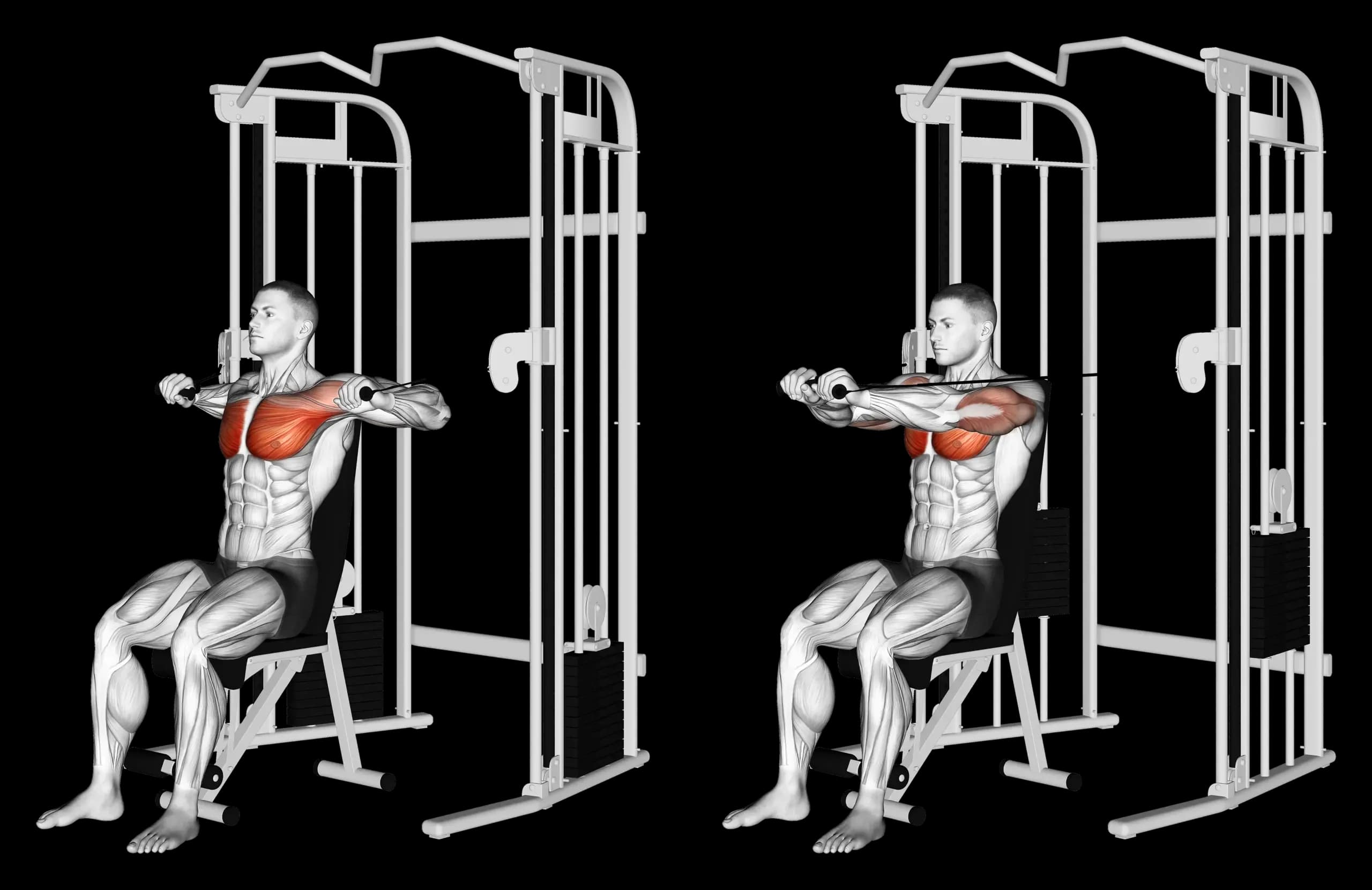 Cable Seated Chest Press