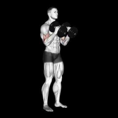 Dumbbell Hammer Curl