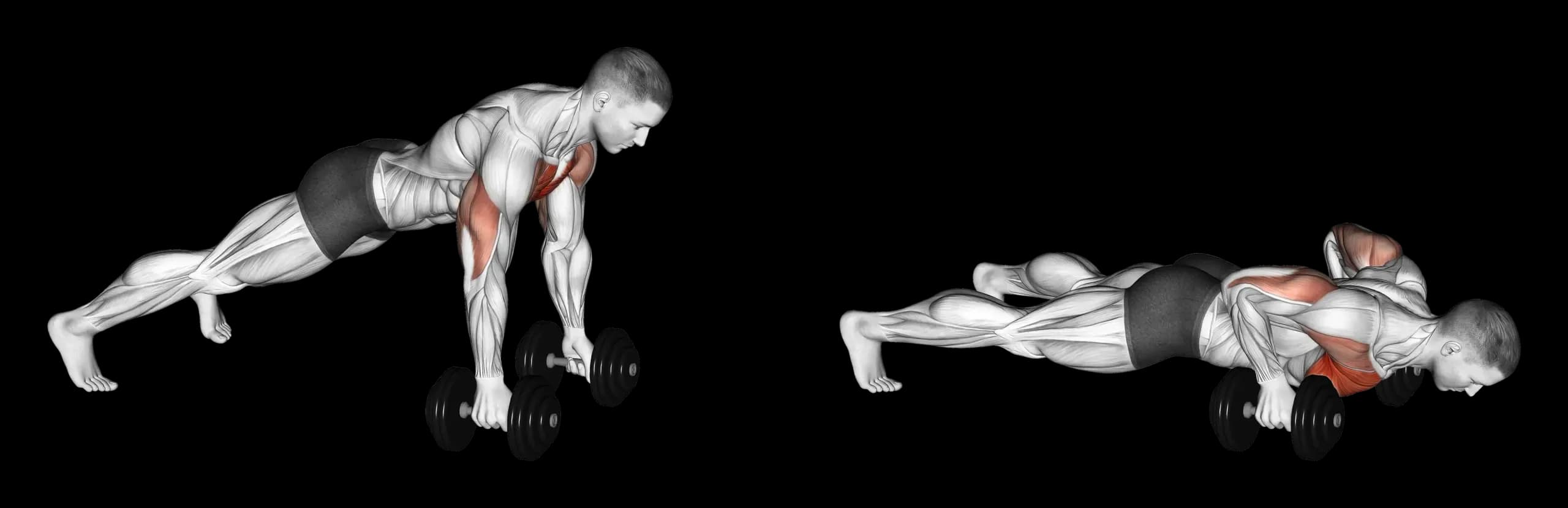 Dumbbell Push-Up