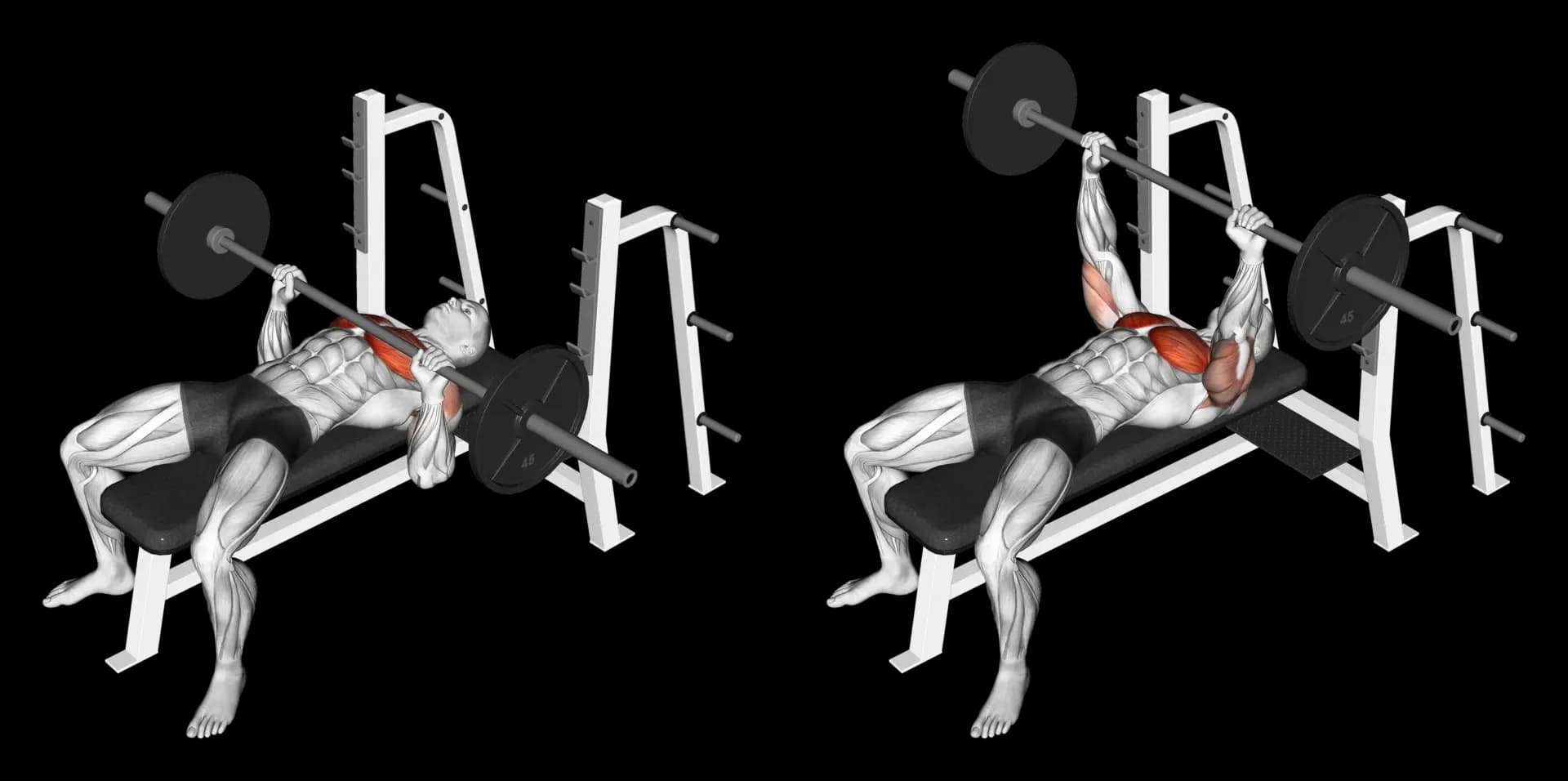 Barbell Bench Press