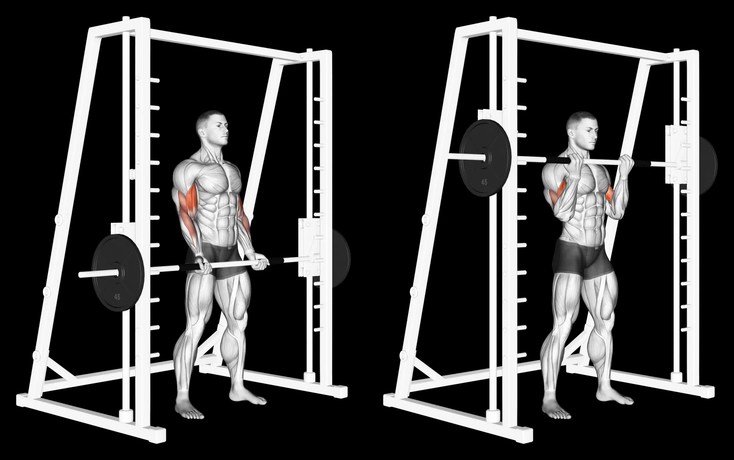Smith Machine Curl