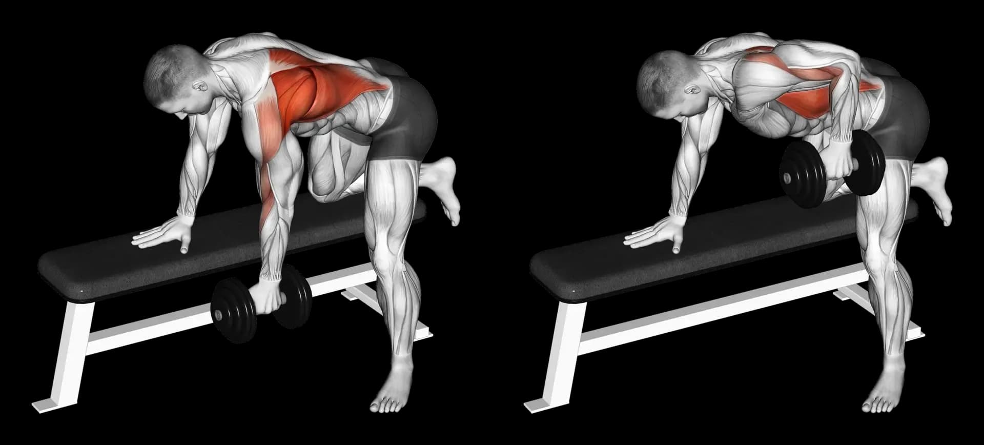 Dumbbell Single-Arm Bent-Over Row