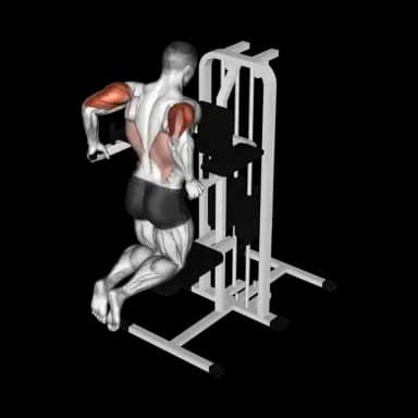 Machine Assisted Triceps Dip