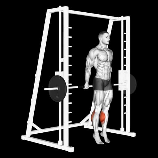 Smith Machine Reverse Calf Raise