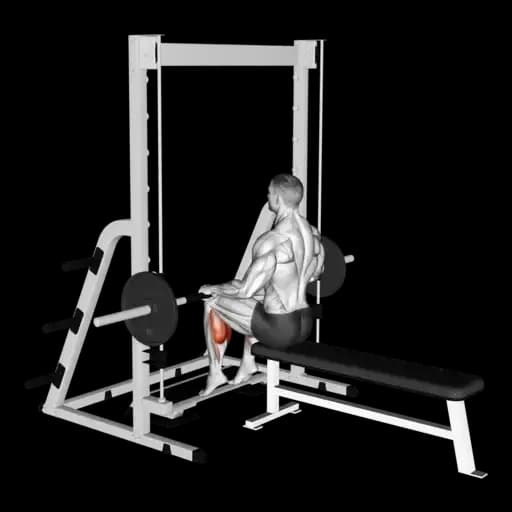Smith Machine Seated Calf Raise