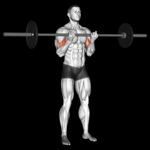 Barbell Curl (Close Grip)
