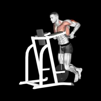 Weighted Triceps Dip