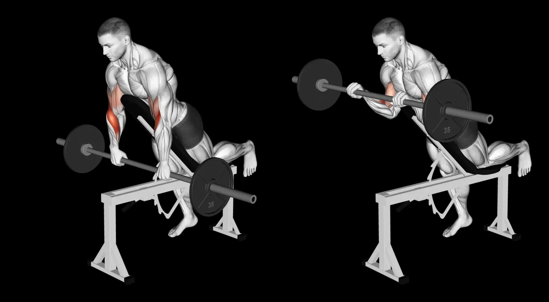 Barbell Spider Curl (Reverse Grip)