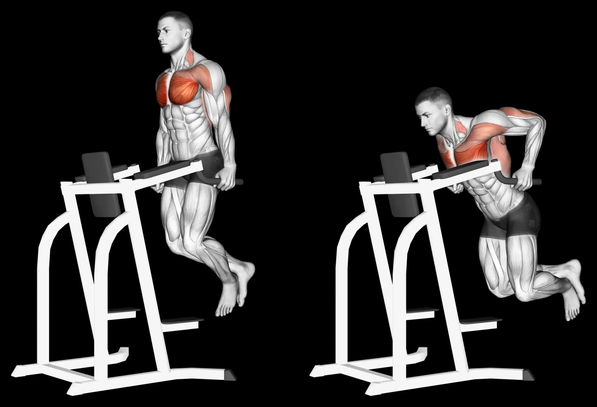 Chest Dip