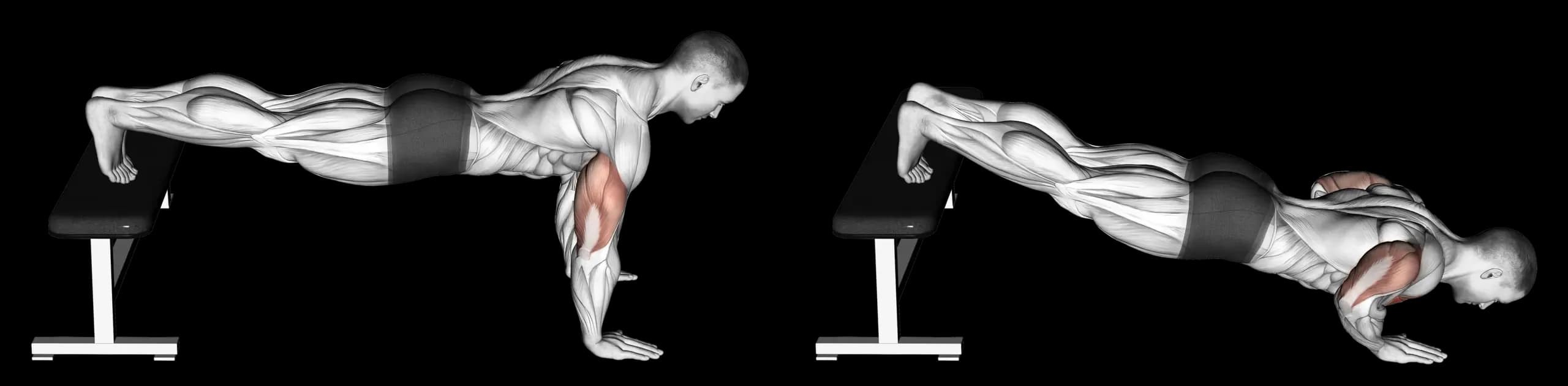 Decline Push-Up