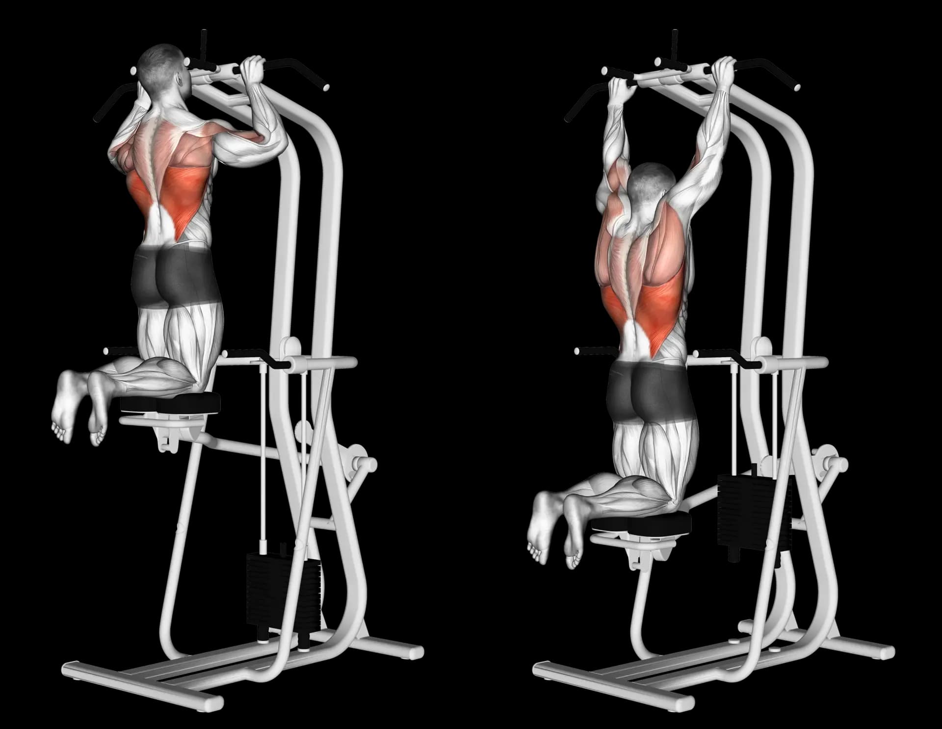 Assisted Pull-Up