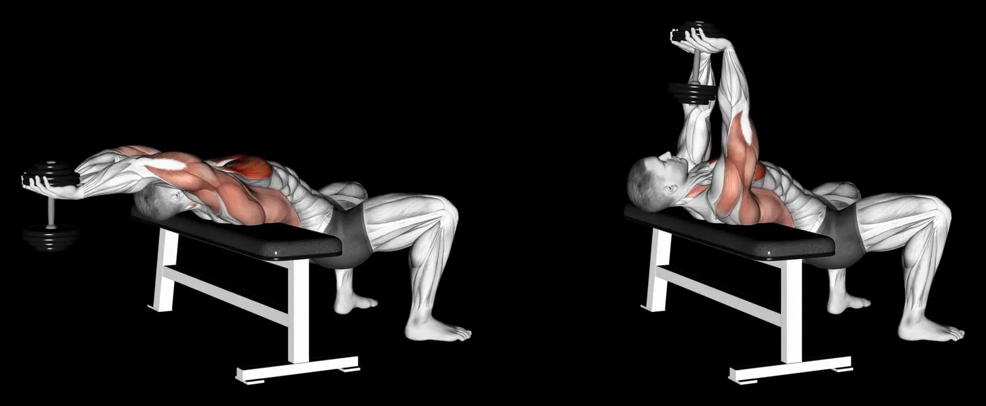 Dumbbell Pullover (Bridge Position)