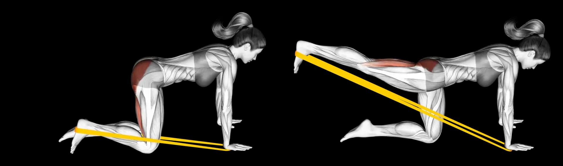 Band Kneeling Single-Leg Kickback